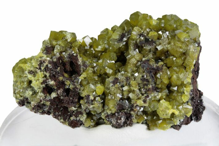 Yellow-Green Pyromorphite Crystals on Matrix - Congo #379960